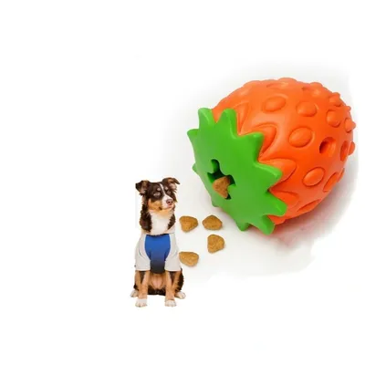 IntiMeg Jouet pour chien Nettoyage des dents Fraise