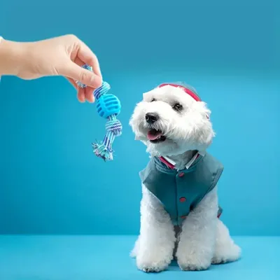 IntiMeg Juguete interactivo para perros Blue Knot