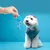 IntiMeg Jouet interactif pour chien Blue Knot