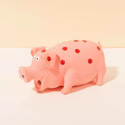 IntiMeg Jouet cochon en latex IntiMeg Jouet cochon en latex