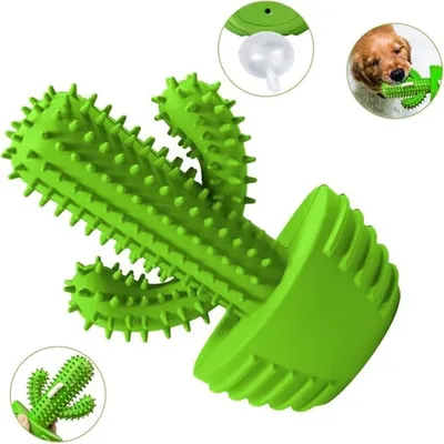 IntiMeg Jouet couineur à mâcher pour chien Cactus