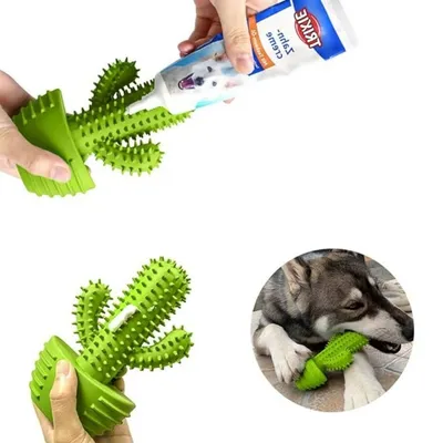 IntiMeg Jouet couineur à mâcher pour chien Cactus