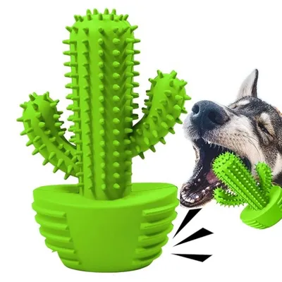 IntiMeg Jouet couineur à mâcher pour chien Cactus