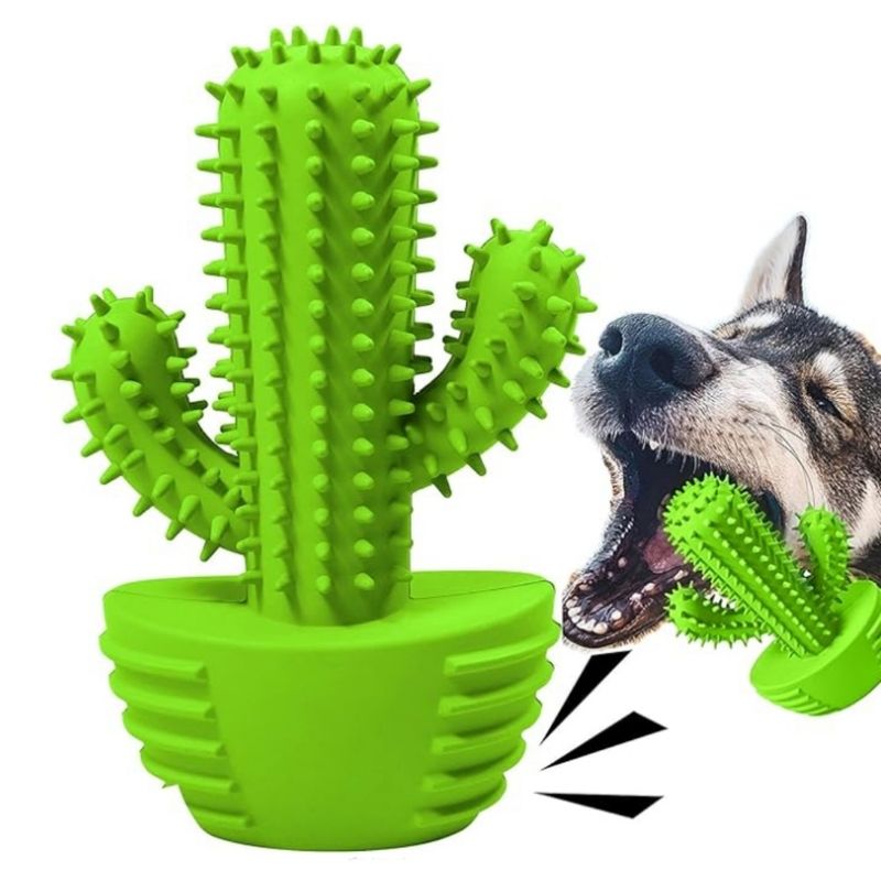 IntiMeg Jouet couineur à mâcher pour chien Cactus