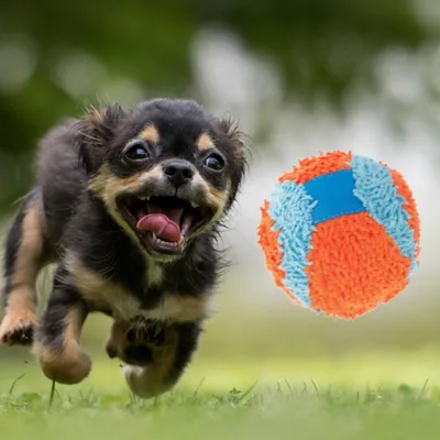 IntiMeg Jouet pour chien balle rebondissante