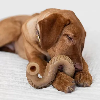IntiMeg Jouet de mâche pour chien - saveur bœuf
