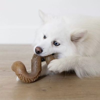 IntiMeg Jouet de mâche pour chien - saveur bœuf