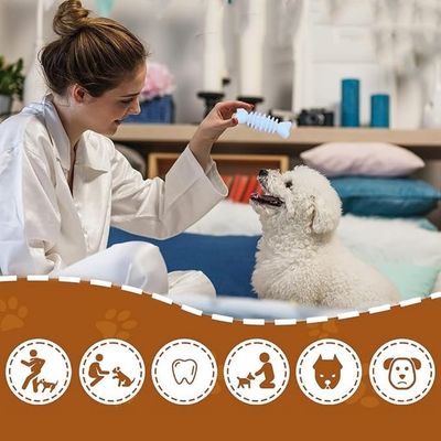 IntiMeg Jeu de 6 jouets pour petits chiens