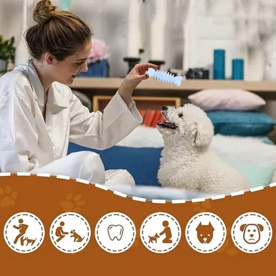 IntiMeg Juego de 6 juguetes para perros pequeños