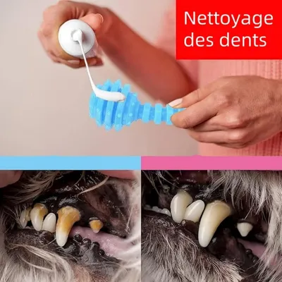 IntiMeg Jeu de 6 jouets pour petits chiens