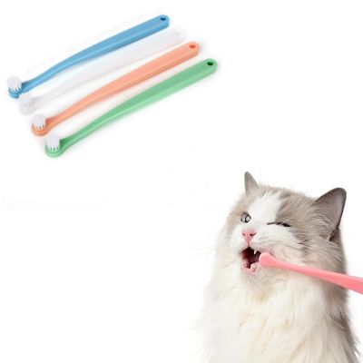 IntiMeg Brosse à dents pour chien et chat 1 Article