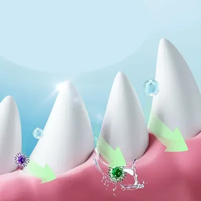 IntiMeg Poudre pour soigner les dents des chiens