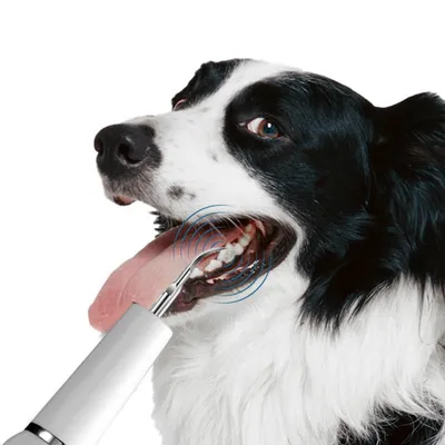 IntiMeg limpiador de dientes para perros