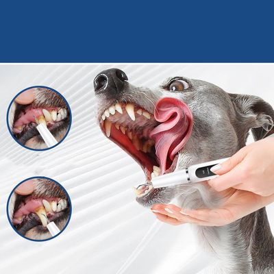 IntiMeg Nettoyant pour dents de chien