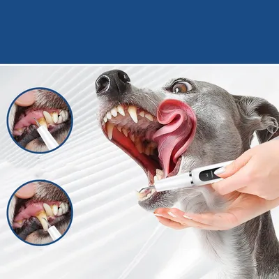 IntiMeg limpiador de dientes para perros