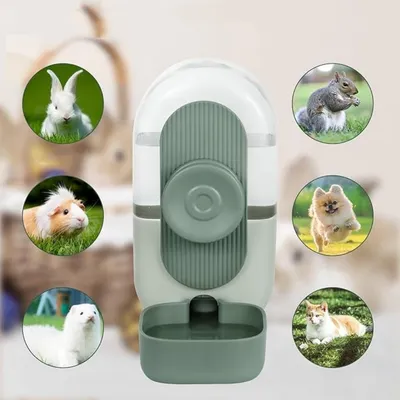 IntiMeg  Fontaine à eau automatique Rabbit