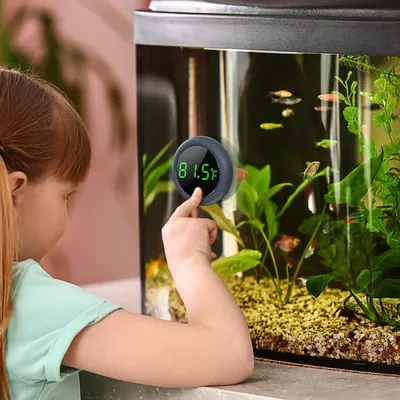 IntiMeg Thermomètre numérique pour aquarium