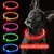 IntiMeg Lampe LED USB pour collier de chien