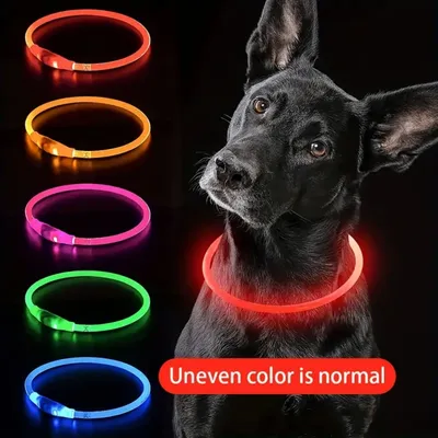 IntiMeg Lampe LED USB pour collier de chien