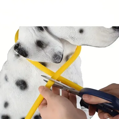 IntiMeg Lampe LED USB pour collier de chien