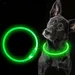 IntiMeg Lampe LED USB pour collier de chien
