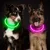 IntiMeg Lampe LED USB pour collier de chien
