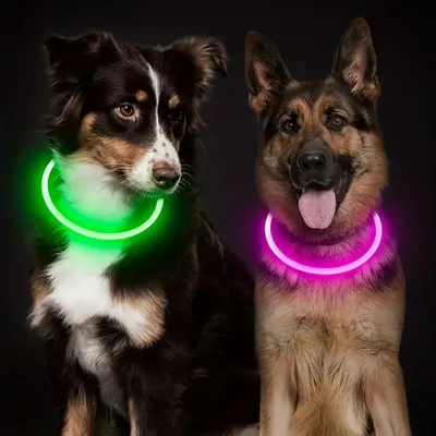 IntiMeg Lampe LED USB pour collier de chien