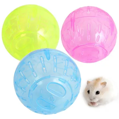 IntiMeg Boule de course pour hamster 10 cm