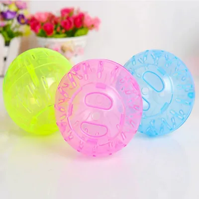 IntiMeg Boule de course pour hamster 10 cm