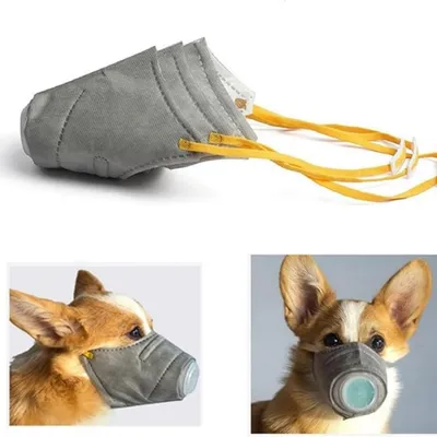 Masque anti-pollution pour animaux de compagnie IntiMeg Masque anti-pollution pour animaux de compagnie IntiMeg