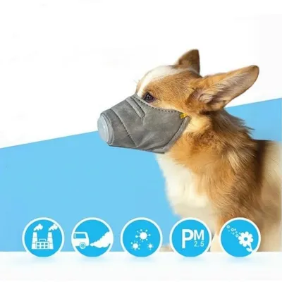 Masque anti-pollution pour animaux de compagnie IntiMeg