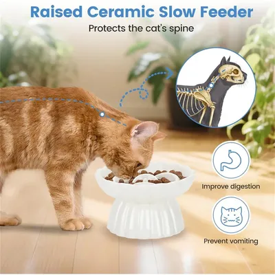 IntiMeg Gamelle surélevée anti-avalement en céramique pour chat