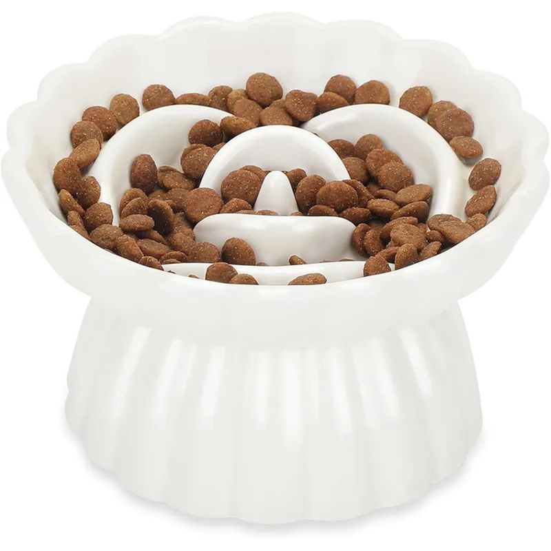 IntiMeg Gamelle surélevée anti-avalement en céramique pour chat