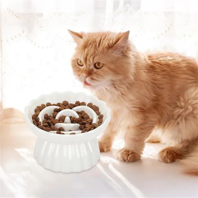 IntiMeg Gamelle surélevée anti-avalement en céramique pour chat