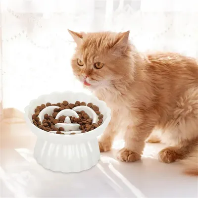 IntiMeg Gamelle surélevée anti-avalement en céramique pour chat