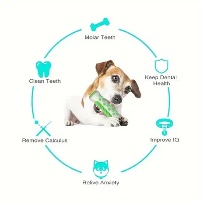 IntiMeg Juguete masticable de goma con forma de hueso para perros