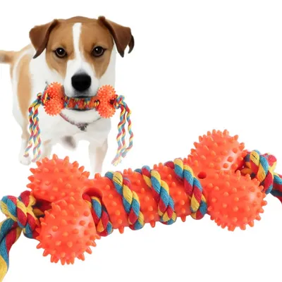 IntiMeg Juguete masticable de cuerda de goma para perros