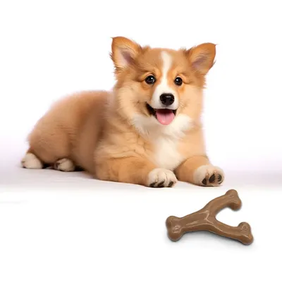 IntiMeg Juguete para la dentición del perro