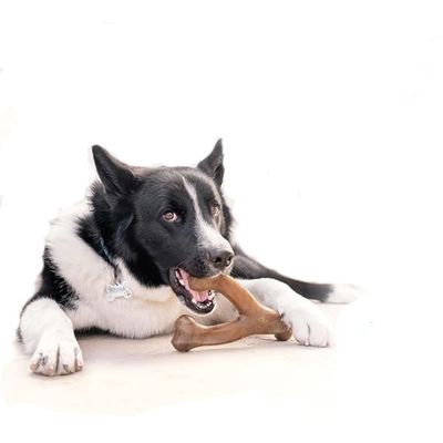 IntiMeg  Jouet de dentition pour chien