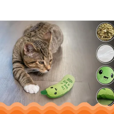 IntiMeg Jouet à l'herbe à chat et au concombre