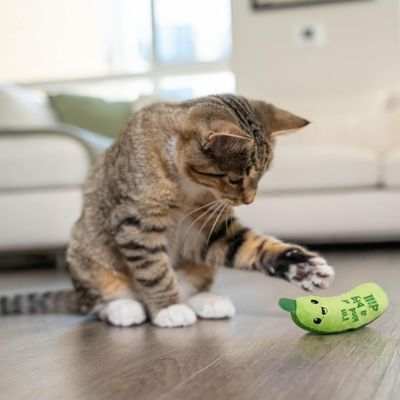 IntiMeg Jouet à l'herbe à chat et au concombre