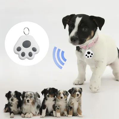 IntiMeg Localisateur anti-perte