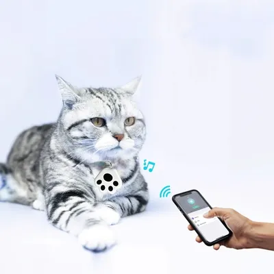 IntiMeg Localisateur anti-perte