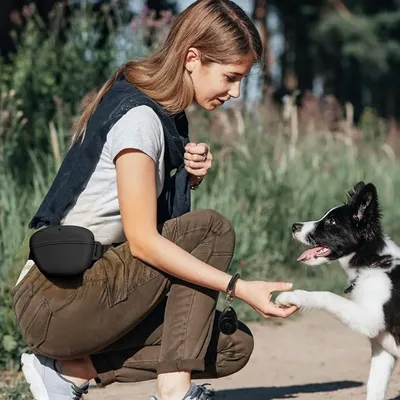 IntiMeg Sac à friandises de dressage