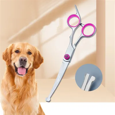 CoolPetGear Ciseaux de toilettage pour chiens