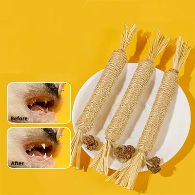 CoolPetGear Bâtonnets à mâcher pour chats