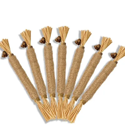 CoolPetGear Bâtonnets à mâcher pour chats