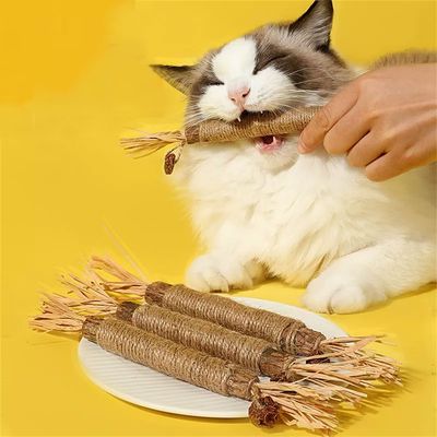 CoolPetGear Bâtonnets à mâcher pour chats