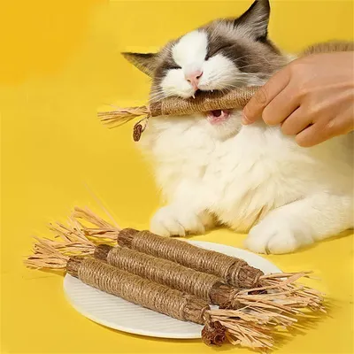 CoolPetGear Bâtonnets à mâcher pour chats