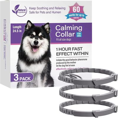 CoolPetGear 3-teiliges Set beruhigender Hundehalsbänder